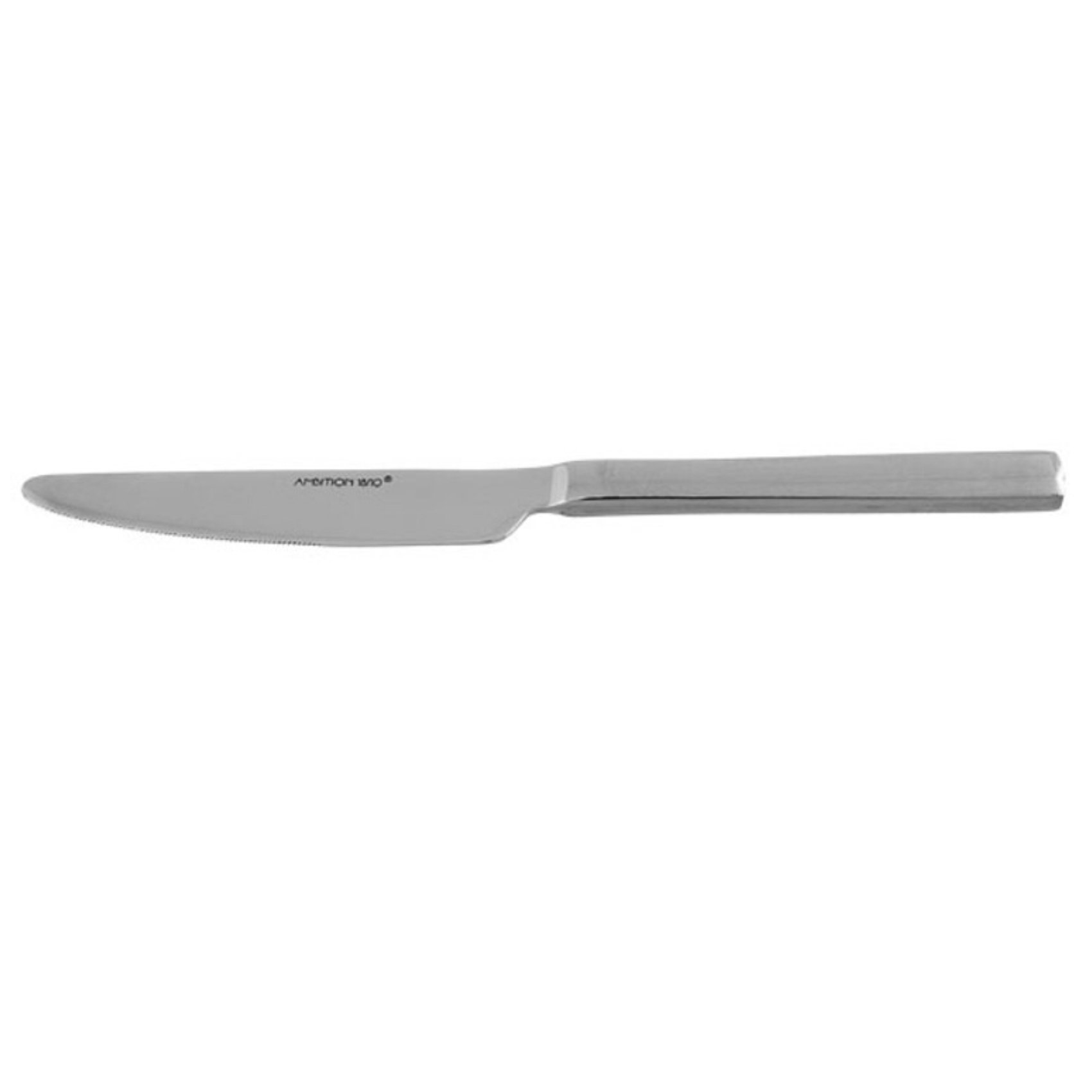 AMBITION Prato 23 cm - stolní nůž z nerezové oceli