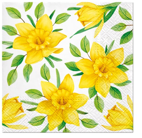 PAW Daffodils In Bloom 20 ks bílých - dekorativní papírové ubrousky